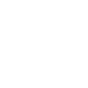 Equity Icons Program Outcomes