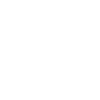 Resilience Icons Program Outcomes