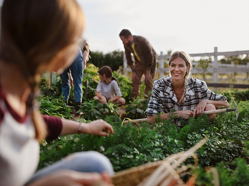 A group of people working in a community garden