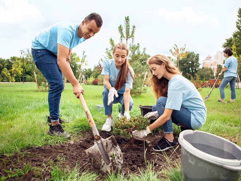 A group of teenagers planting trees in a public park