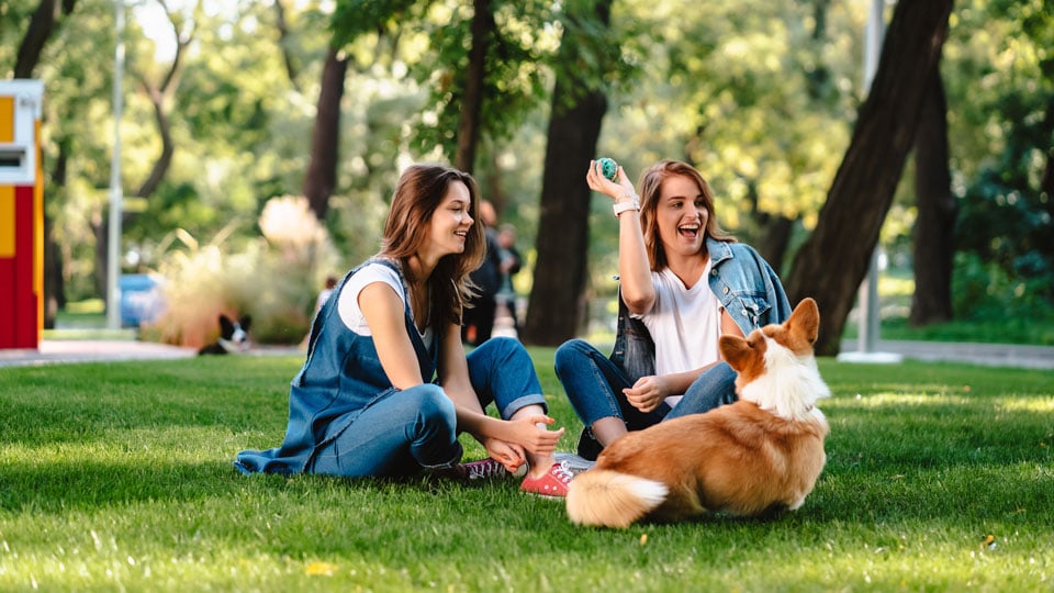 two friends playing with a dog in a park