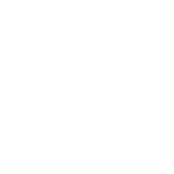 White X logo-1